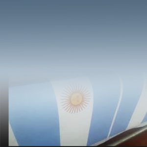 Impresión de Banderas y fly Banners